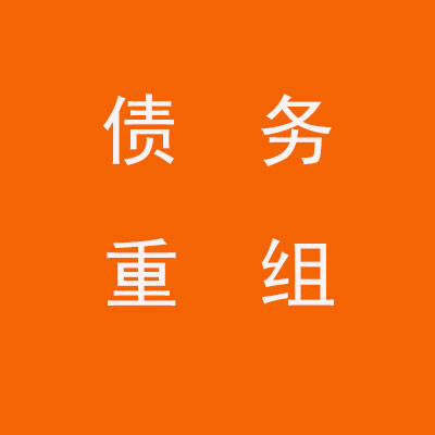 雷鸣镇个人债务重组优化